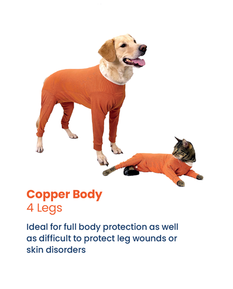 Luna & Milo CopperBody 4-pieds #4