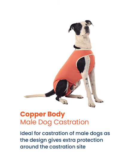 Castration Luna & Milo CopperBody #1