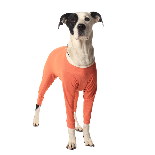 Luna & Milo CopperBody 4-Legs #12