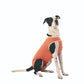 Luna & Milo CopperBody Classic #6